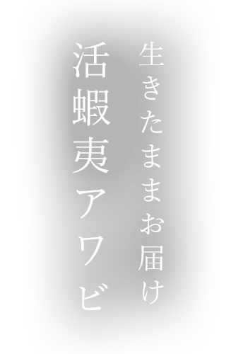 生きたままお届け活蝦夷アワビ