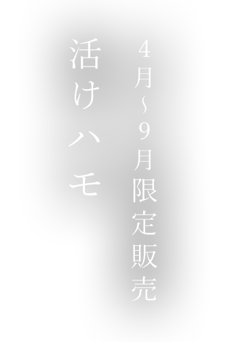 4月～9月限定販売活けハモ